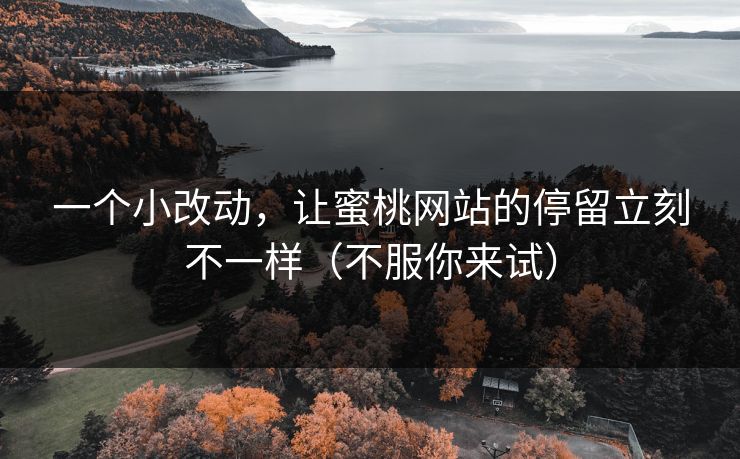 一个小改动，让蜜桃网站的停留立刻不一样（不服你来试）